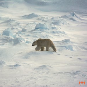 Space-Between-Stuff-cover